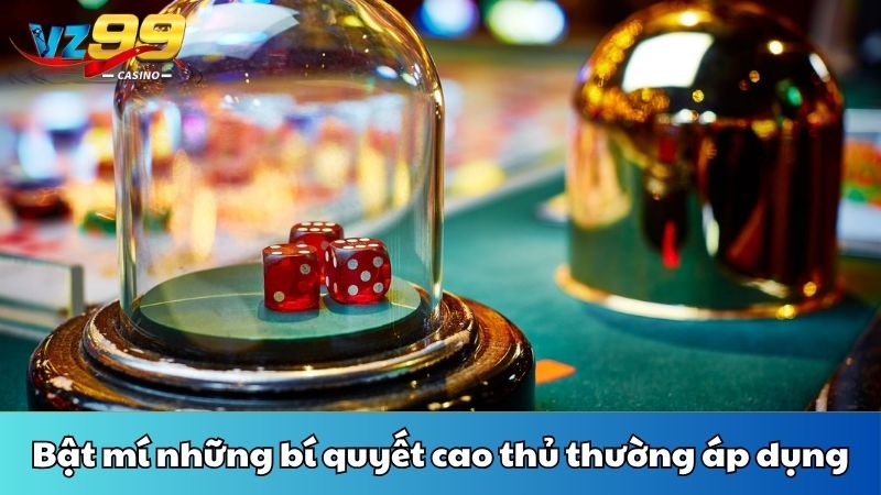 Luật chơi sicbo tại VZ99 chi tiết nhất dành cho tân binh 5 Bật mí những bí quyết cao thủ thường áp dụng