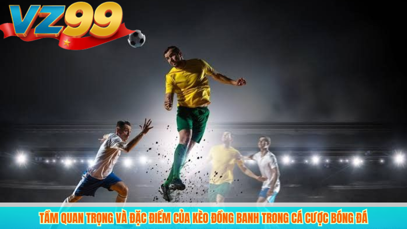 Kèo Đồng Banh Là Gì? Hướng Dẫn Đọc Kèo Chính Xác Tại VZ99 2 Tầm quan trọng và đặc điểm của kèo đồng banh trong cá cược bóng đá
