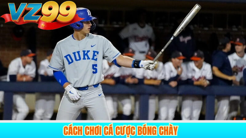 Kinh Nghiệm Cá Cược Bóng Chày Hiệu Quả Nhất Tại VZ99 3 Cách chơi cá cược bóng chày