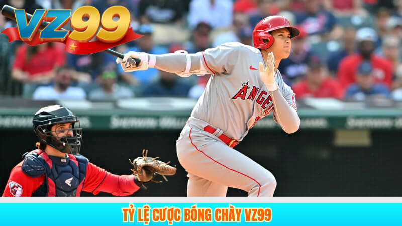 Kinh Nghiệm Cá Cược Bóng Chày Hiệu Quả Nhất Tại VZ99 4 Tỷ lệ cược bóng chày VZ99